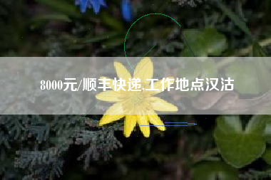 8000元/顺丰快递,工作地点汉沽