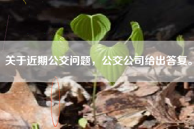 关于近期公交问题，公交公司给出答复。