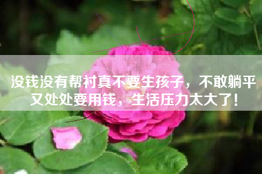 没钱没有帮衬真不要生孩子，不敢躺平又处处要用钱，生活压力太大了！