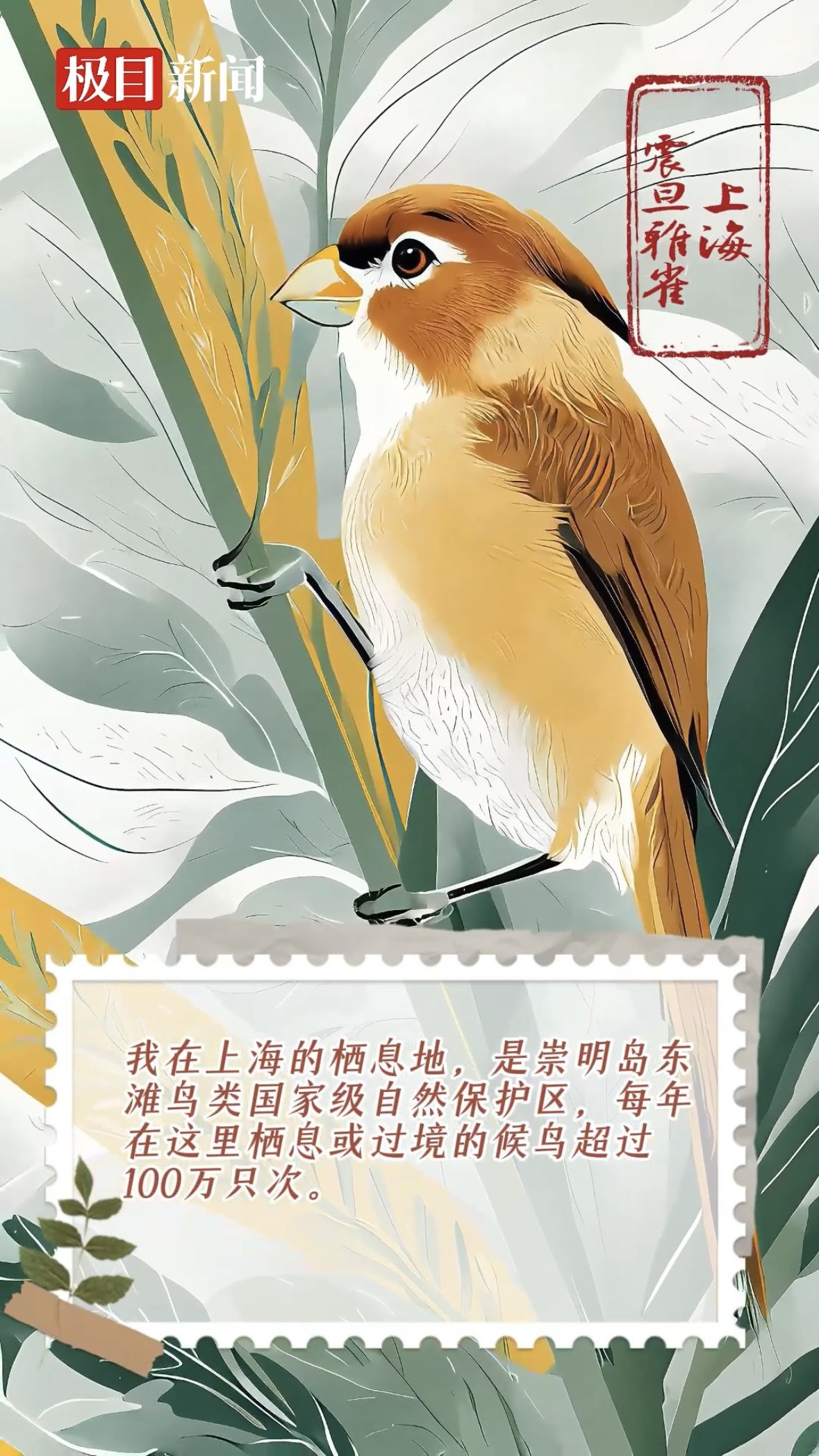 神奇精灵看长江！长江沿线11地主流媒体推出两会联动报道