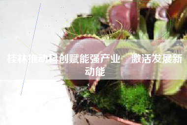 桂林推动科创赋能强产业 激活发展新动能